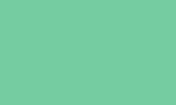 Decorazza FIORA / Цвет #FR  10-67